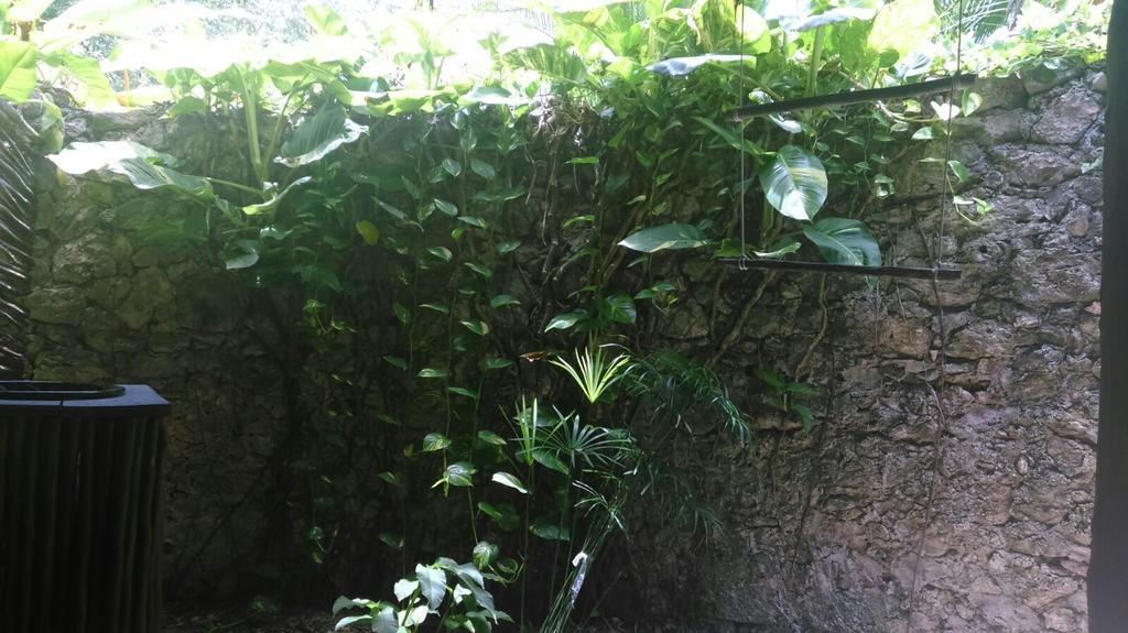 Villas Eco-Romanticas Kuuch Ka'Anil Bacalar Kültér fotó